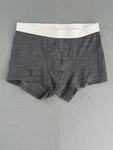 Icebreaker Cool-lite Boxer Briefs Mens Medium Gray Performance Underwear Stretch New. Price: $24.00.