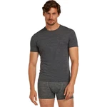 Icebreaker Merino Anatomica 150 Short Sleeve Crewe - Men's New. Price: $75.00.