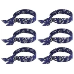 Ergodyne Chill Its 6700 Cooling Bandana, Evaporative Polymer Crystals For Coo... New. Price: $25.28.