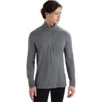 Icebreaker Merino 260 Tech Long-sleeve 1/2-ZIP Top Men's New. Price: $101.25.